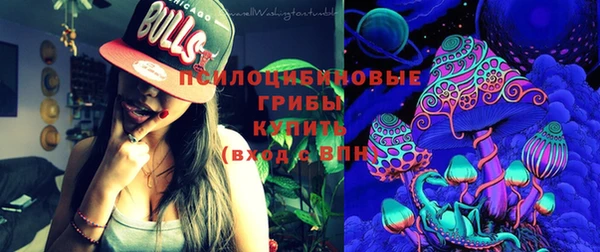 гашик Лиски