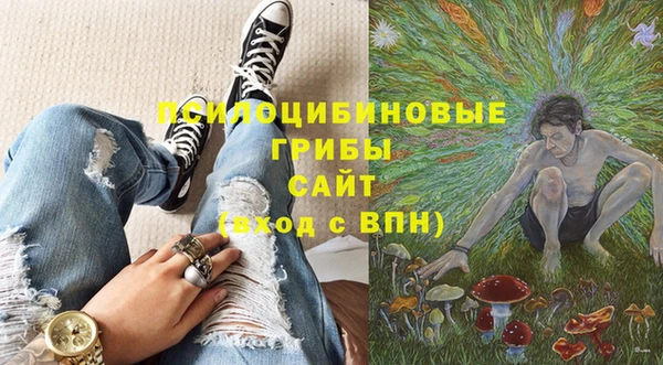 гашик Лиски